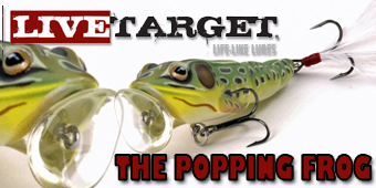 Live Target Popping Frog and Crappie Crank Feature