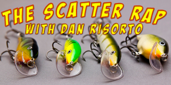Scatter Rap Feature Image