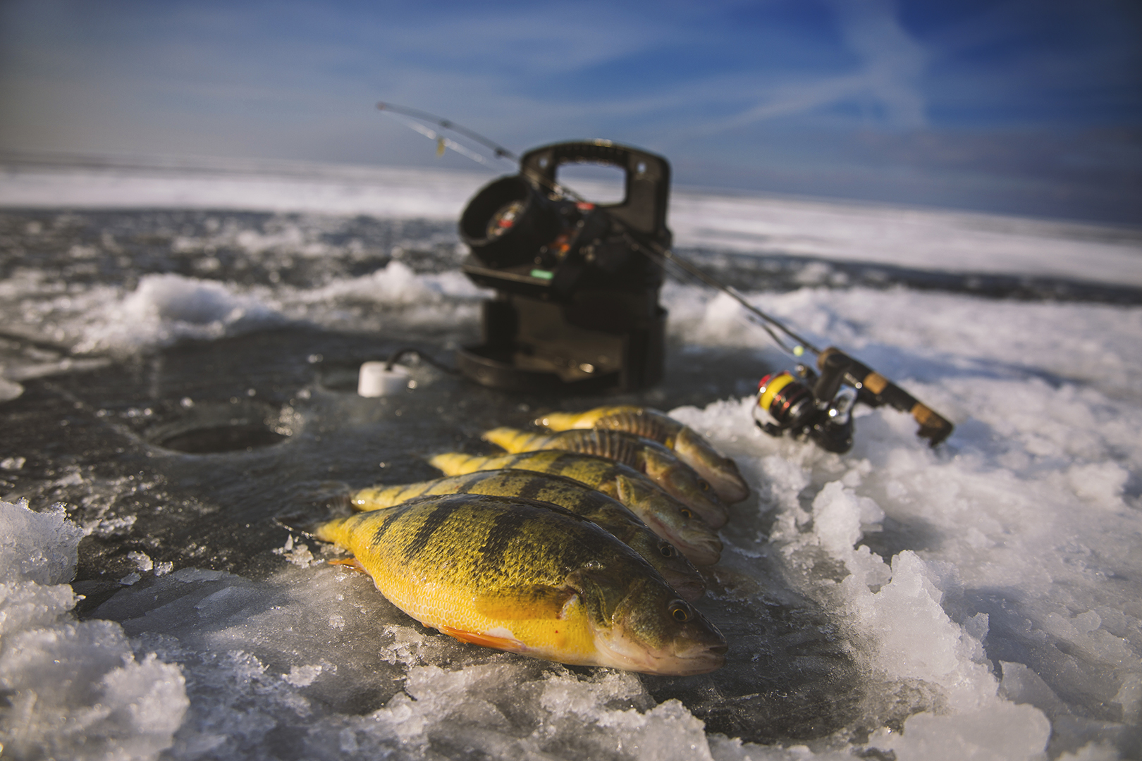 best fishing pole for kayak fishing Heavy Duty Fishing: Best Rods And Reels For Big Fish