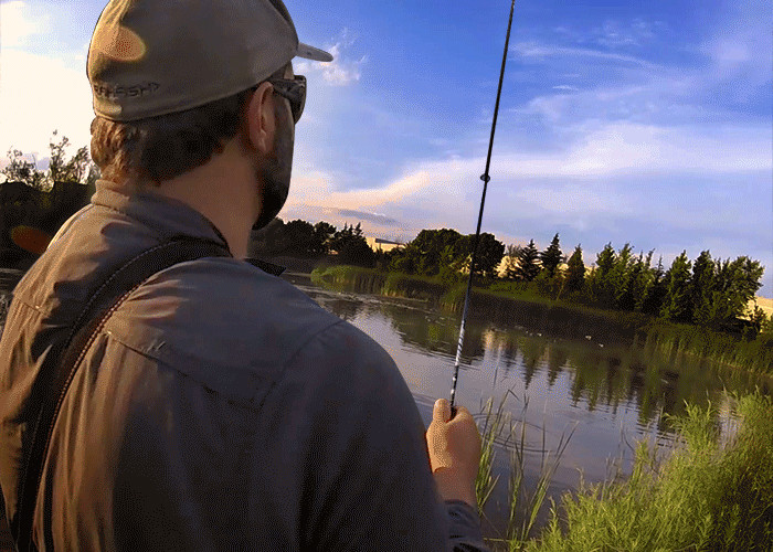 Pond Fishing